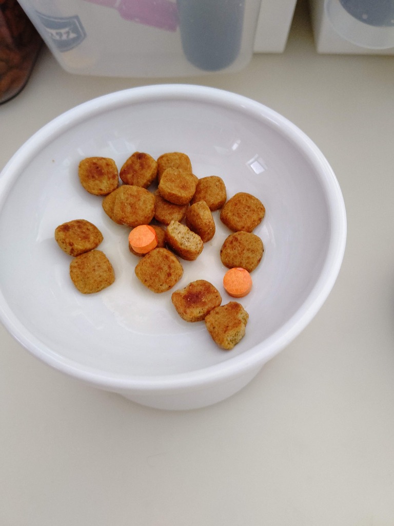ロイヤルカナン 食事療法食 犬用 低分子プロテイン ライト