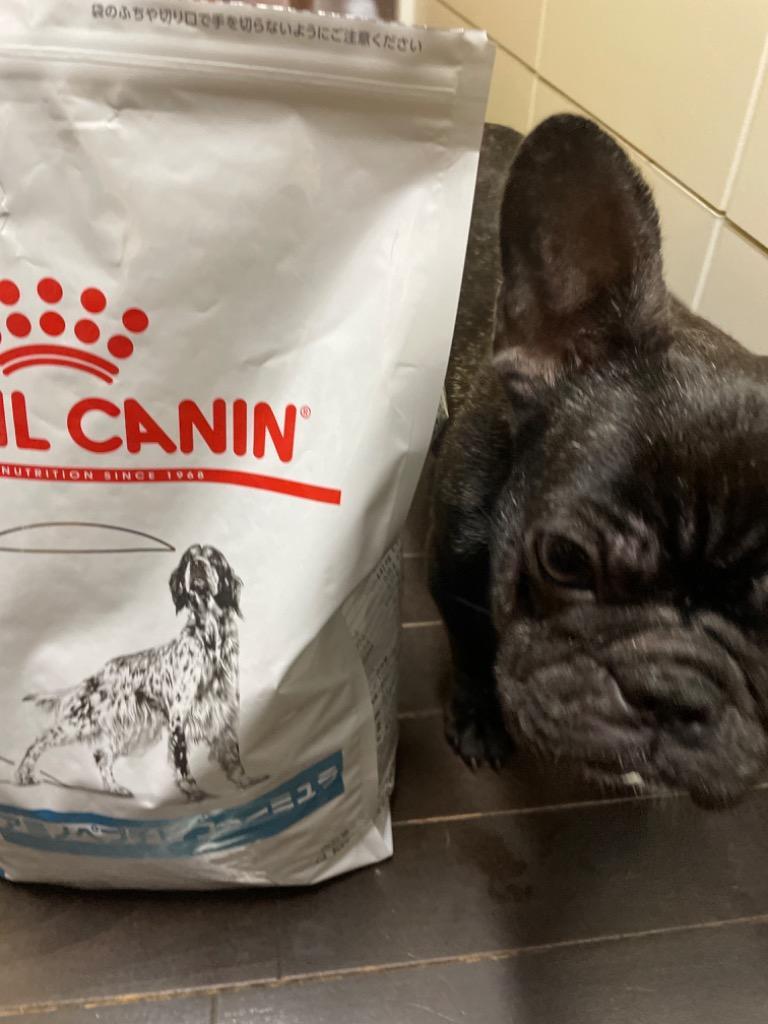 ロイヤルカナン 食事療法食 犬用 アミノペプチド フォーミュラ ロイヤルカナン 食事療法食 犬用 アミノペプチド フォーミュラ