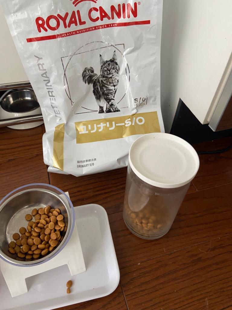 ロイヤルカナン 食事療法食 猫用 ユリナリーS/O ドライ 4kg (旧 pH 