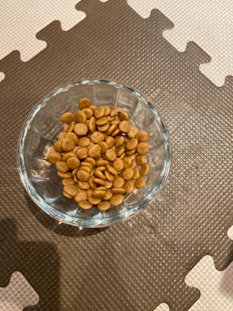 ロイヤルカナン 食事療法食 犬用 ユリナリーS/O 小型犬用 S ロイヤルカナン 食事療法食 犬用 ユリナリーS/O 小型犬用 S
