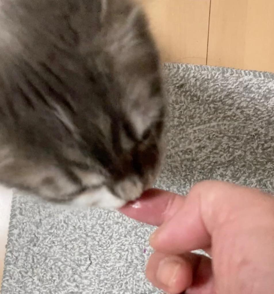 レビュー画像