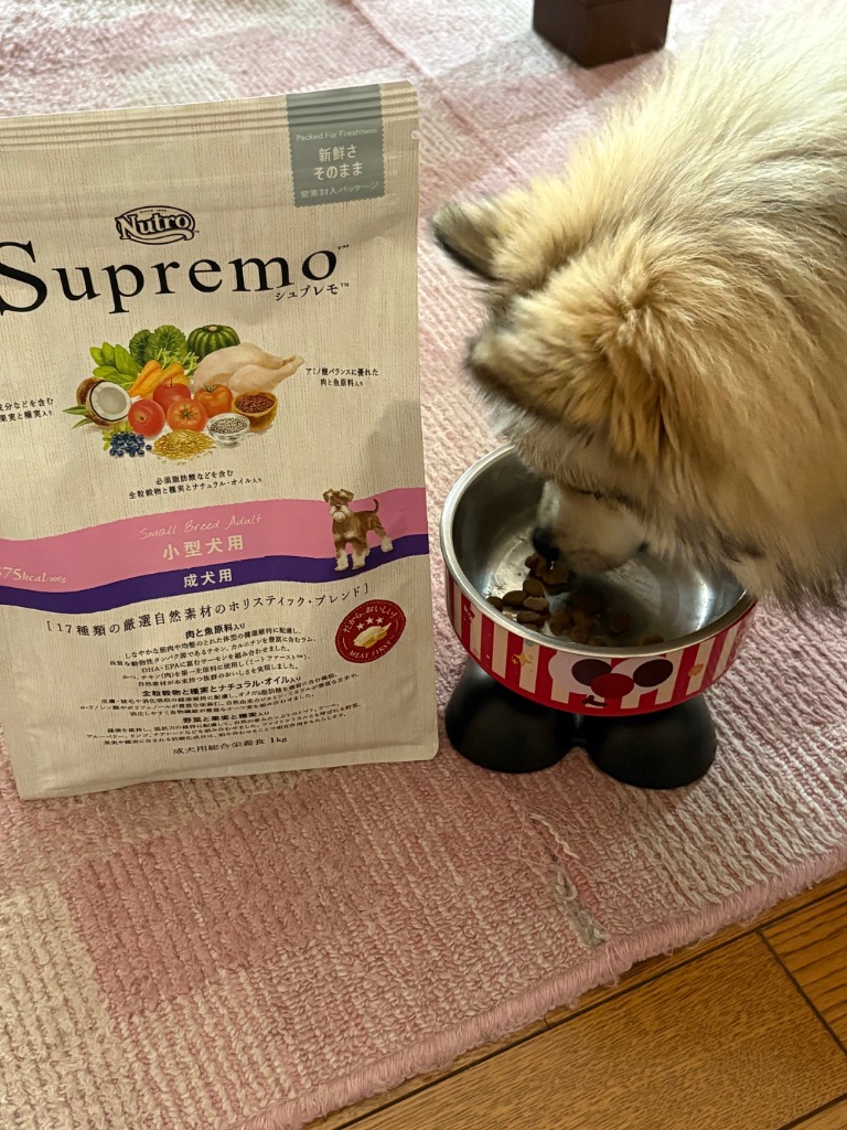 ニュートロ シュプレモ 小型犬用 成犬用 1kgのレビュー・口コミ