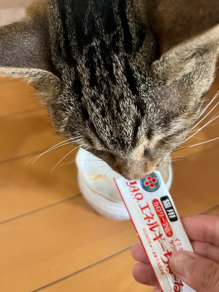 いなばペットフード 動物病院専用 CIAO（チャオ）猫用 エネルギー ちゅ