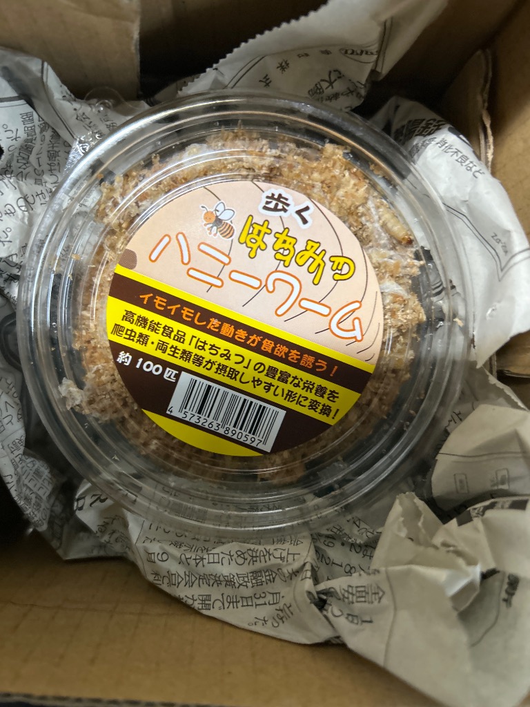 レビュー画像