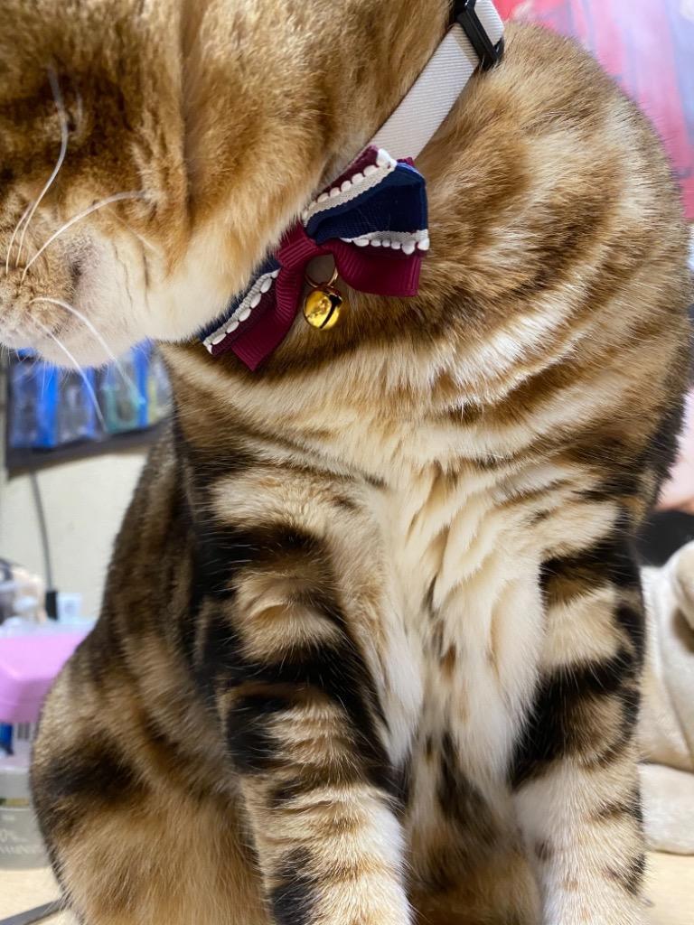 猫首輪 ツートンリボン 鈴付き 仕様 かわいい おしゃれ リボン 鈴
