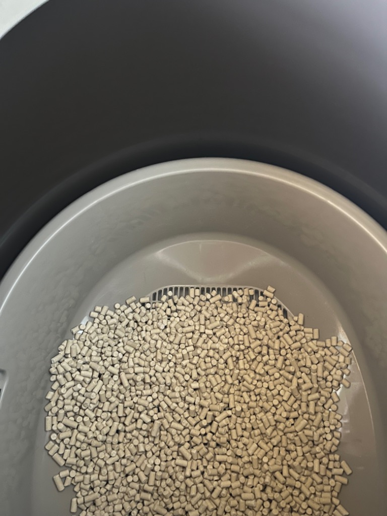 レビュー画像