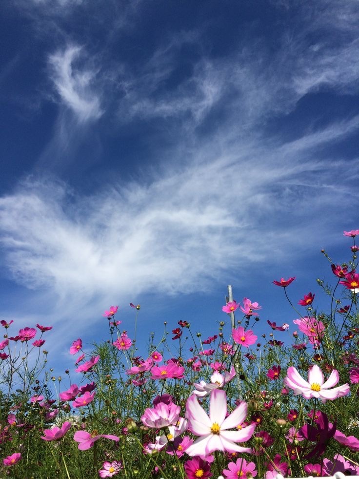 全体のレビュー画像 | 1-2