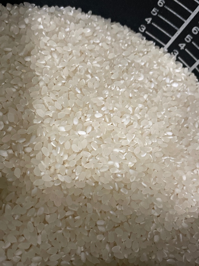 ぅり茶 お米『ひとめぼれ 30kg』5kg×6/精米済 白米/30キロ ひとめぼれ 米 30kg 送料無料 5kg 6袋 お米 米30kg 一等米 安い