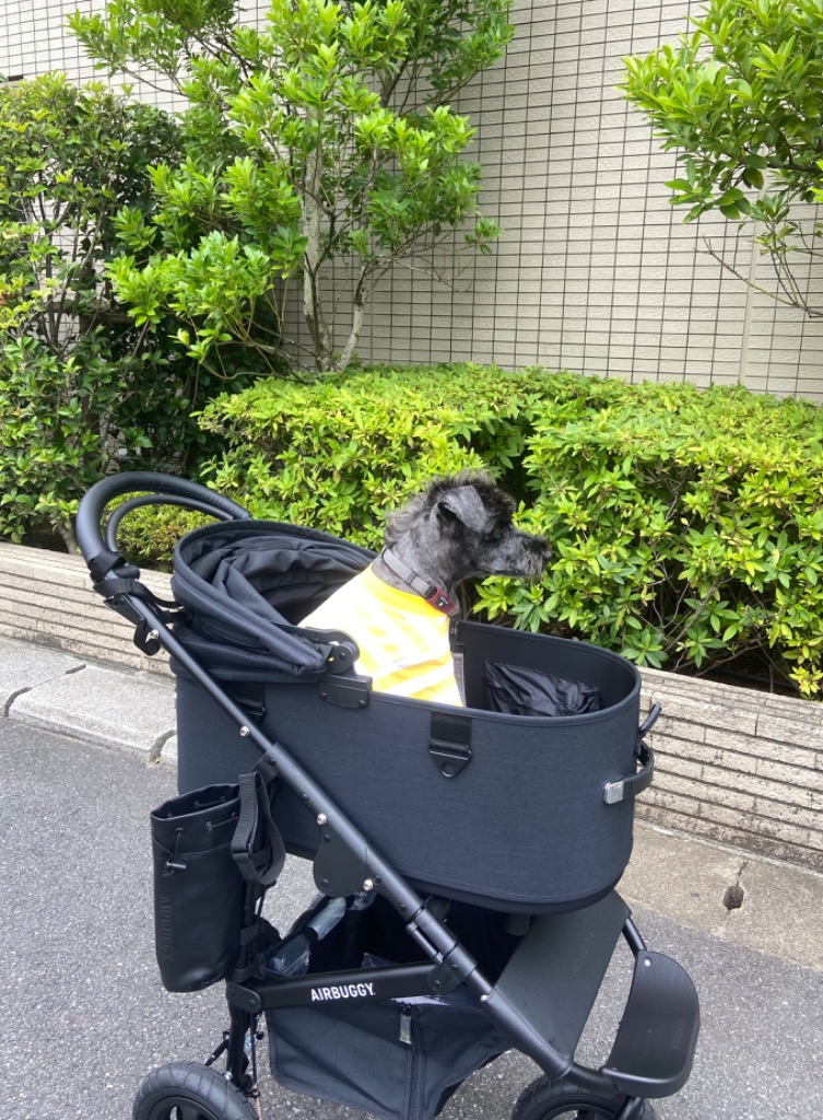 AIRBUGGY ドーム3・ラージサイズ・フレームセット エアバギー