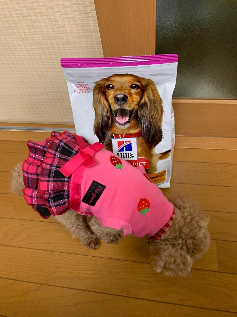 レビュー画像