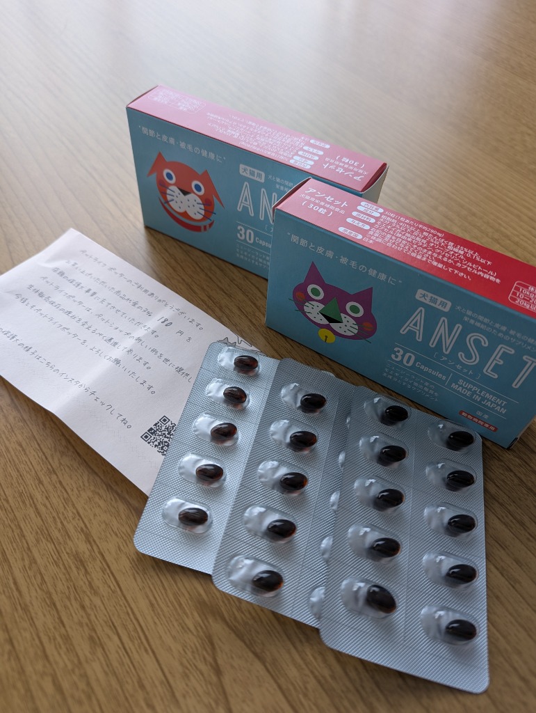 動物病院専用 APPE 40g×12本入り×3箱 APPE（アペ）(40g×12袋 (液体)): ｜動物ナビ｜14時までのご