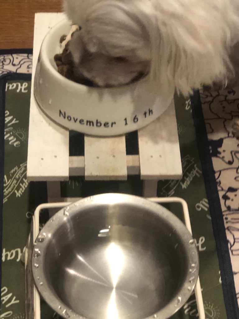 1件目のレビュー画像 | 1