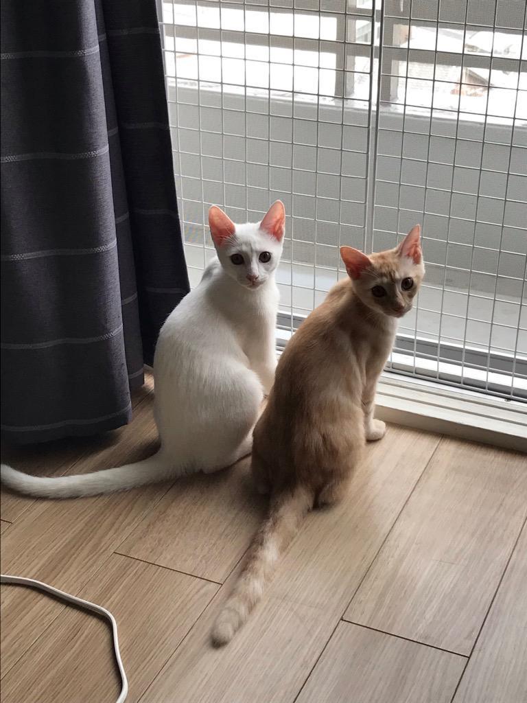 1件目のレビュー画像 | 0