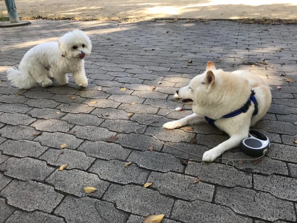 1件目のレビュー画像 | 0