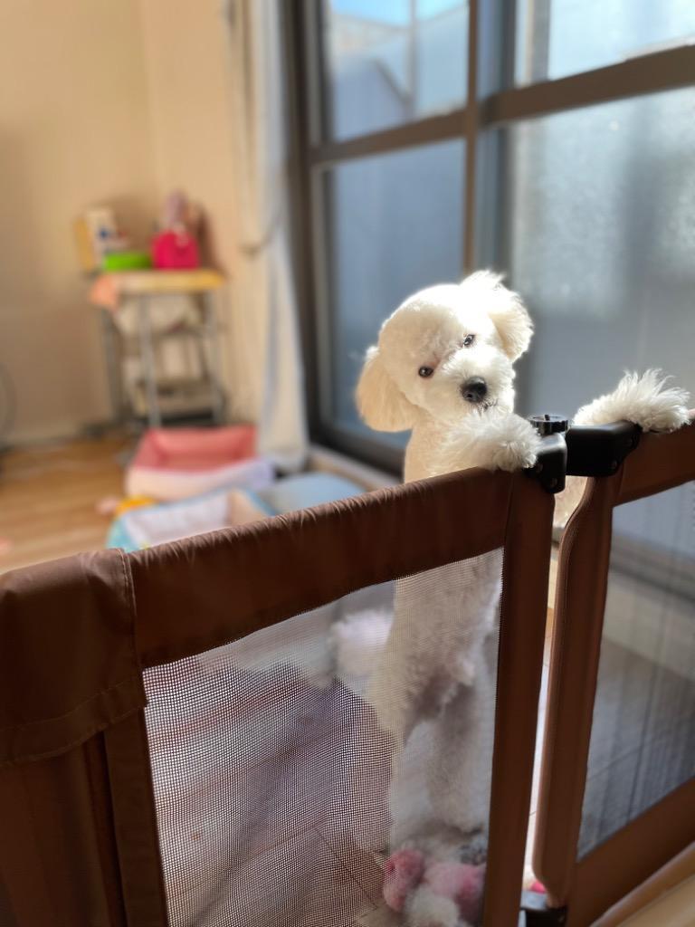 Pet Select by Nihonikuji ペットセレクト(公式) ペット ゲート