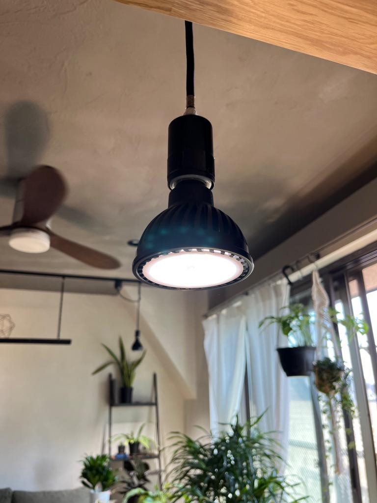 PLANTS NEXLIGHT ブラック BLACK プランツ ネクスライト 観葉植物 育成ライト 園芸店が使うライト LED 室内ライト  プランツネクスライト 送料無料 :nexlightbk:観葉植物のパーフェクトグリーン - 通販 - Yahoo!ショッピング