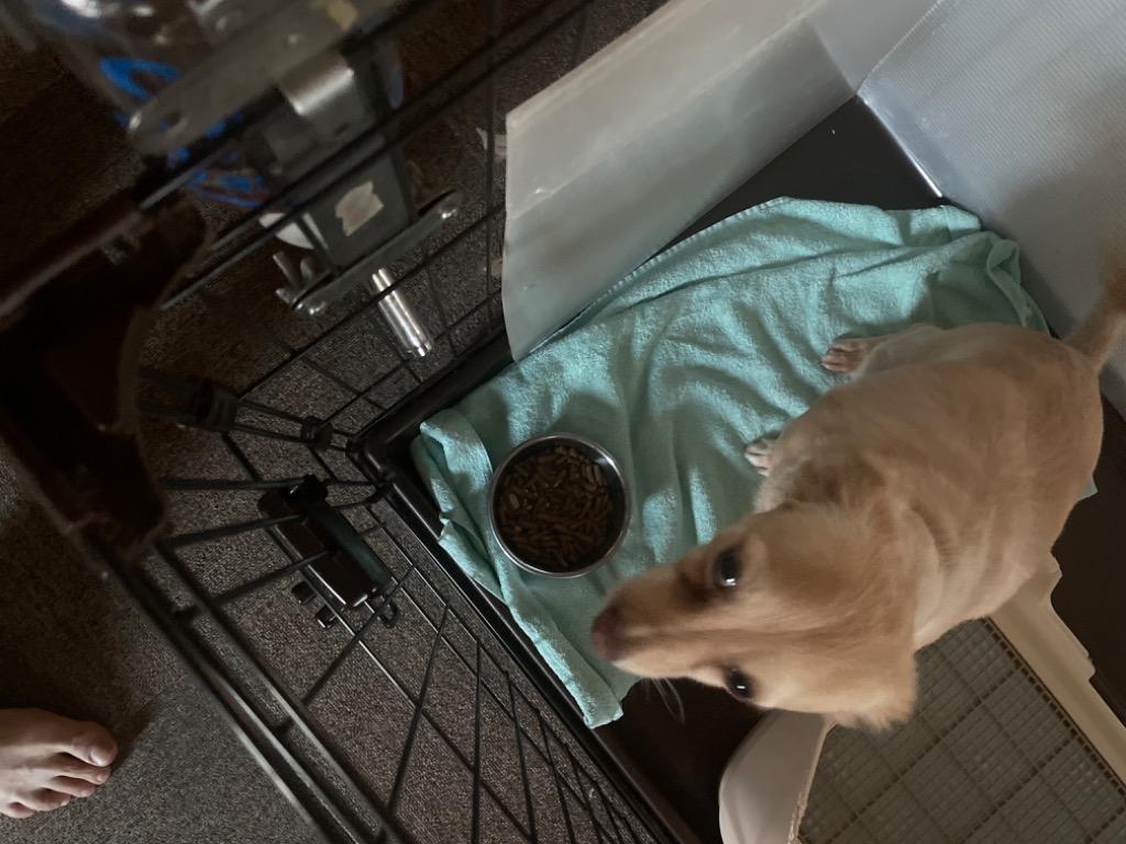 全体のレビュー画像 | 2-0