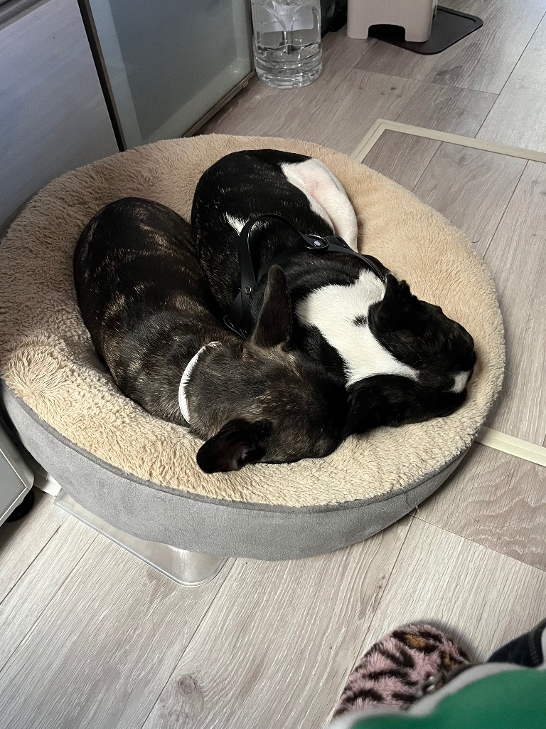 全体のレビュー画像 | 0-1