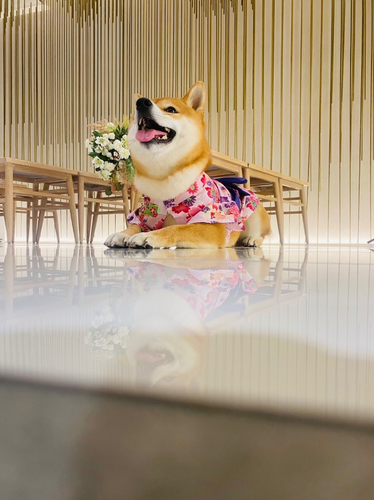 レビュー画像