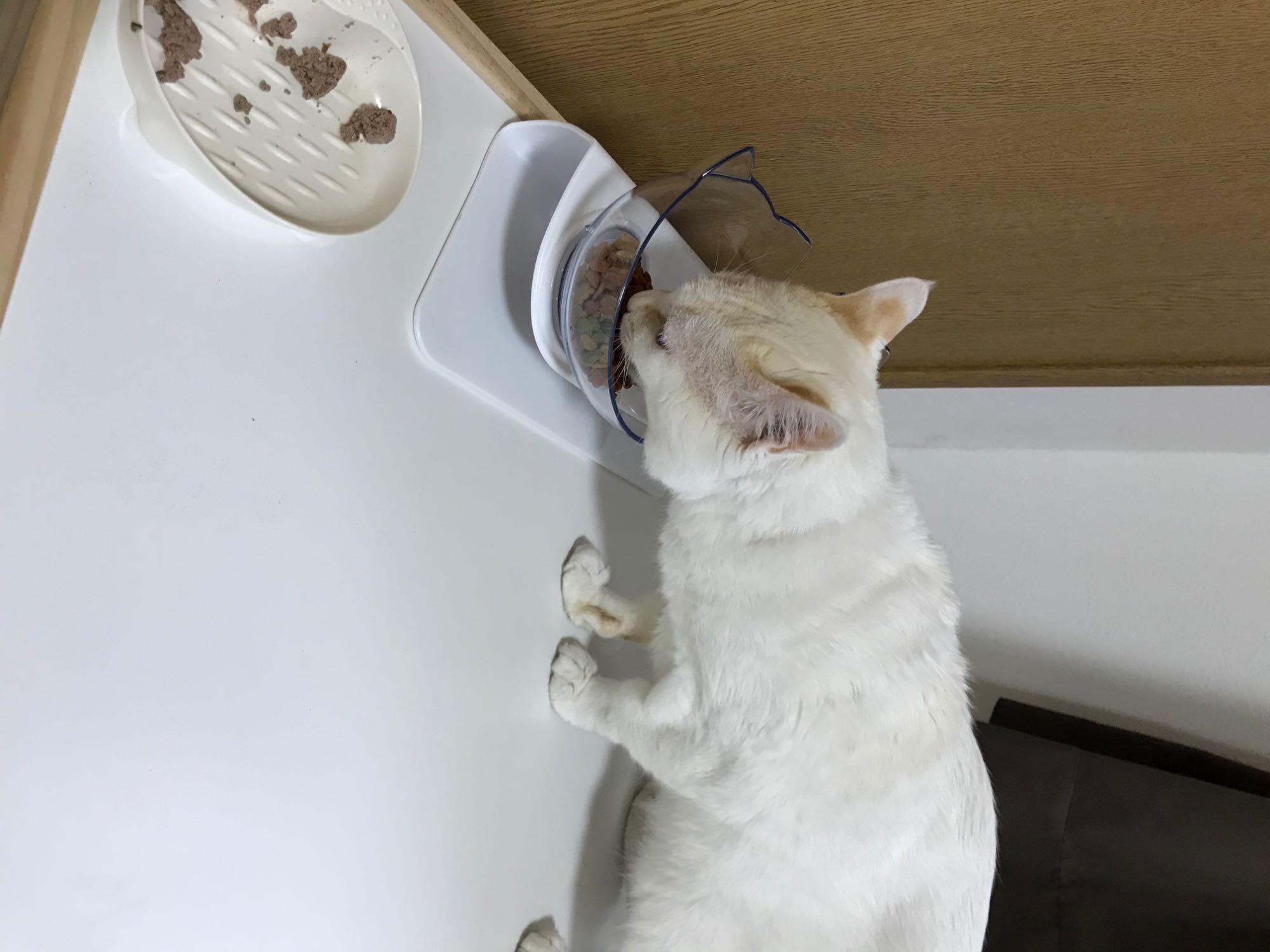 1件目のレビュー画像 | 0