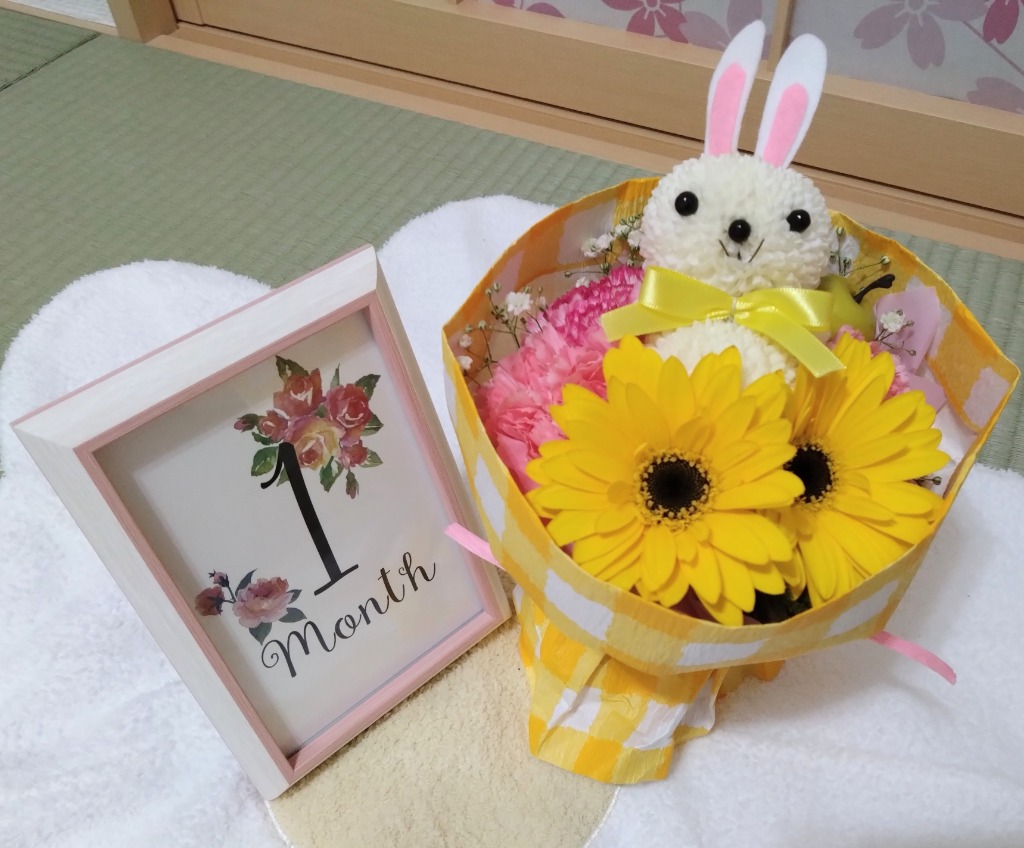 LADONNA フォトフレーム ハガキサイズ SF14-P-GR/NT/NV/PK