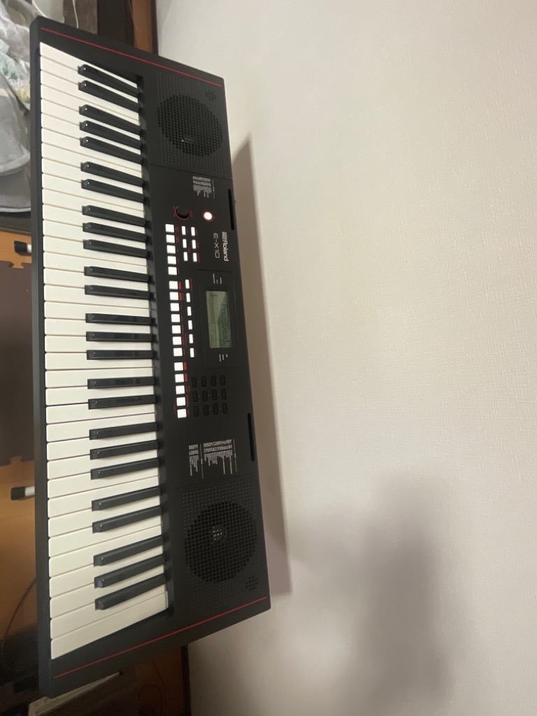 ROLAND ローランド E-X10 Arranger Keyboard キーボード - 最安値