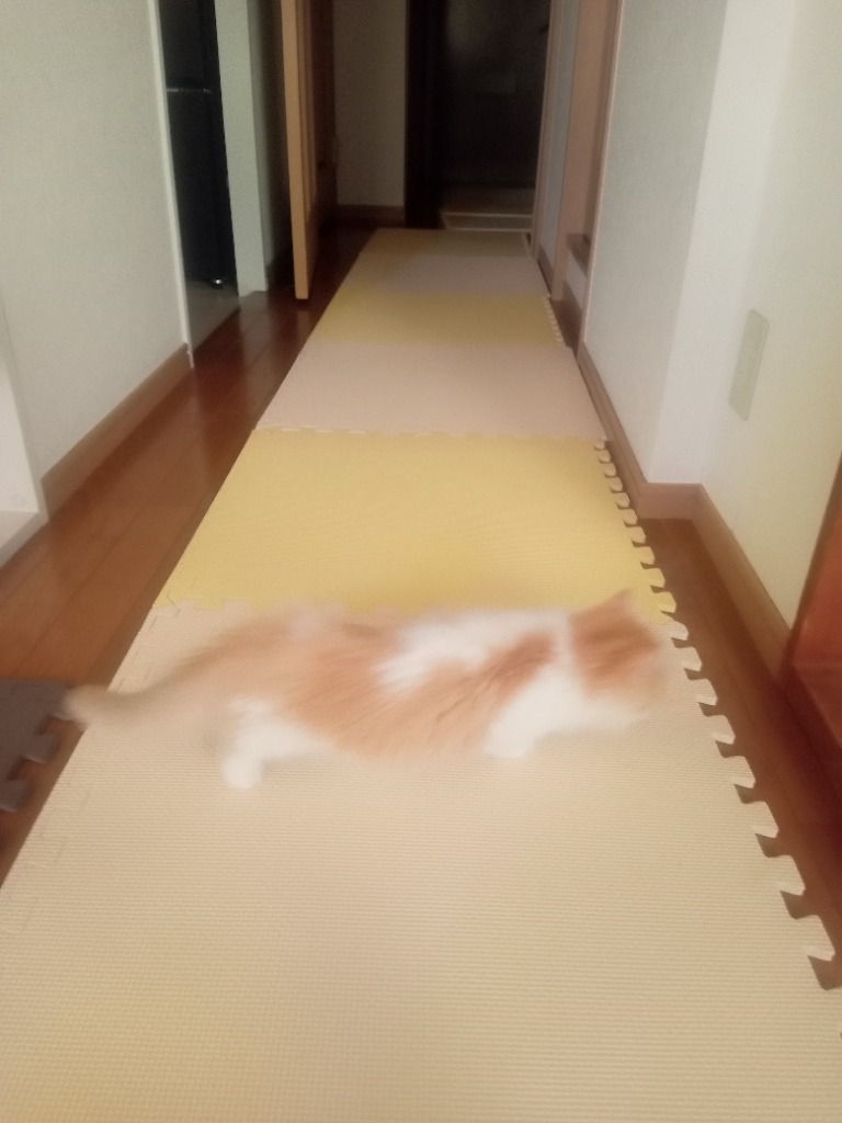 全体のレビュー画像 | 10-0