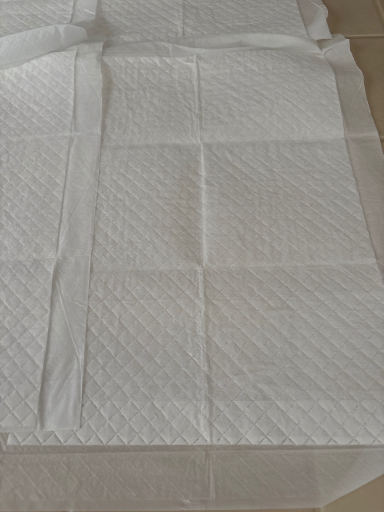 全体のレビュー画像 | 1-0