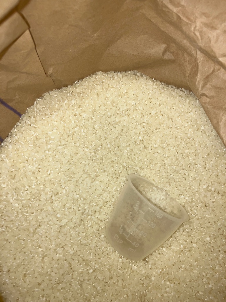 コシヒカリ お米 コメ 25kg 令和6年産(2024年産)コシヒカリ100