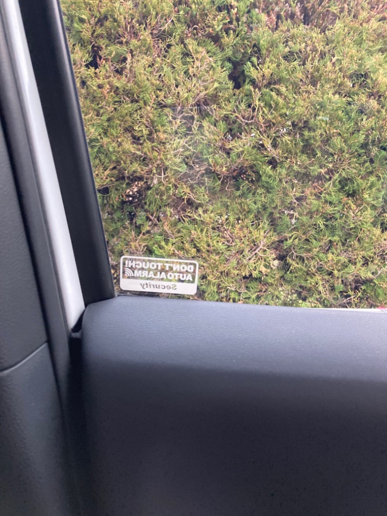 全体のレビュー画像 | 1-0