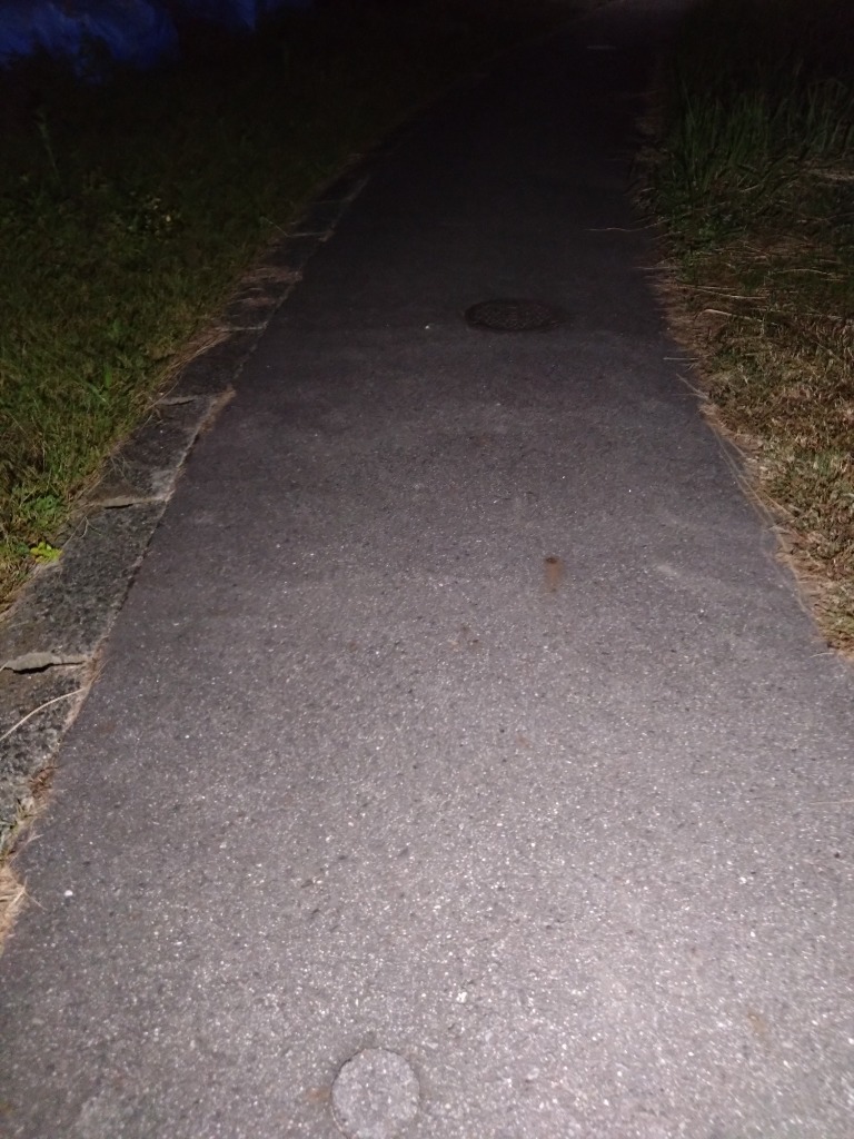 1件目のレビュー画像 | 1