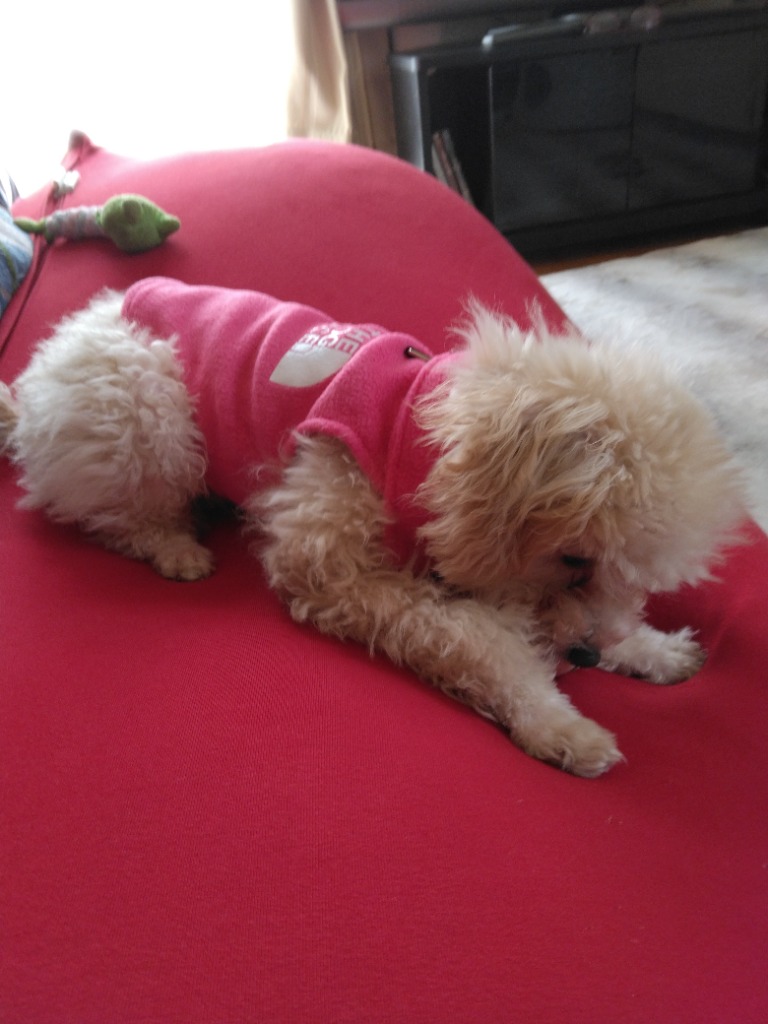 全体のレビュー画像 | 0-1