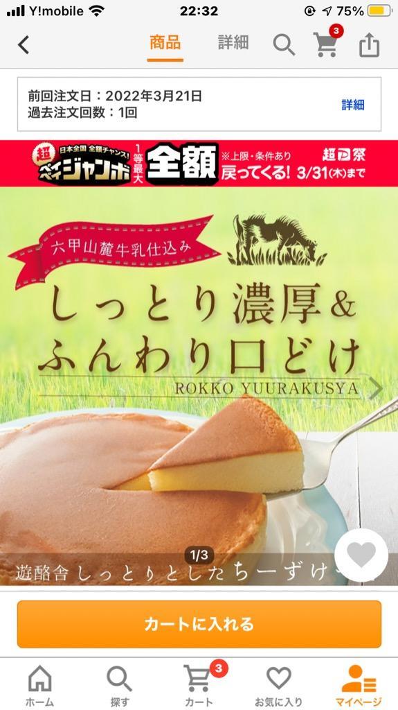 六甲山麓牛乳仕込み 遊酪舎しっとりしたちーずけーき チーズケーキ ポイント消化 ポスト投函便 約300ｇ 送料無料 ５号 人気商品は チーズケーキ