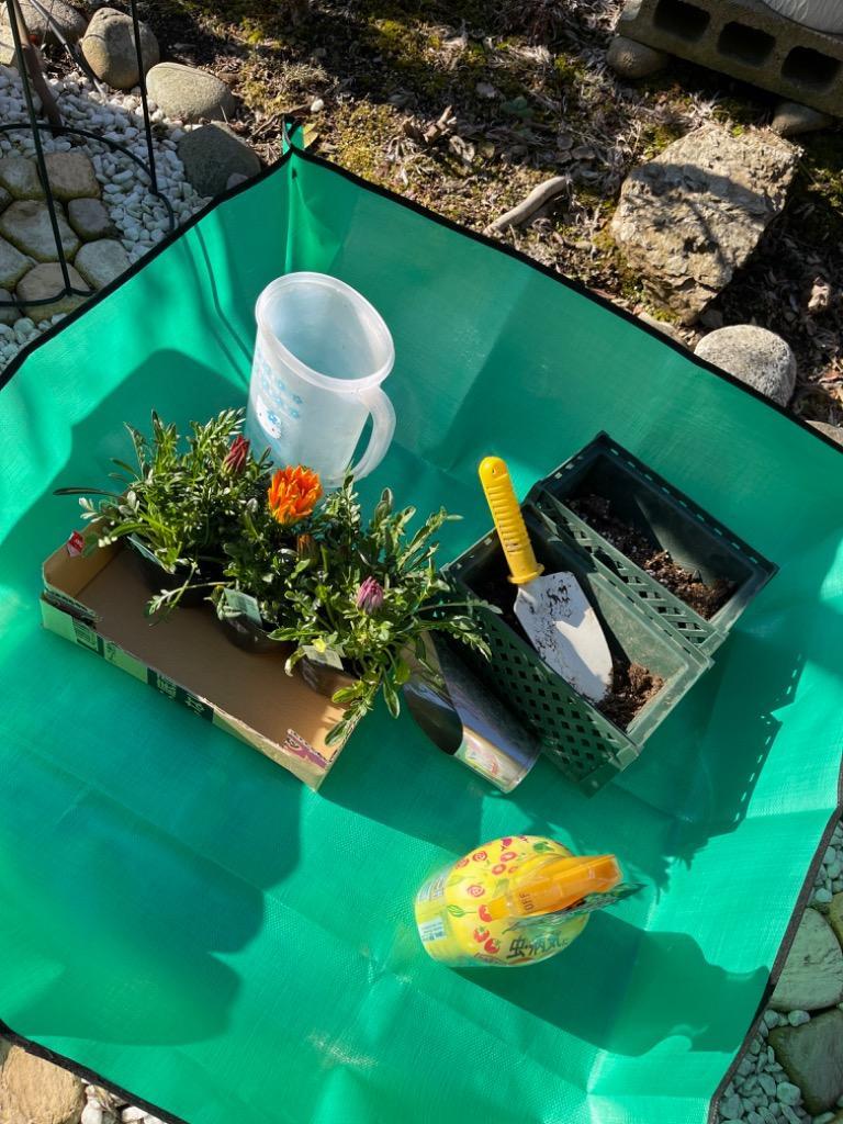 1件目のレビュー画像 | 1