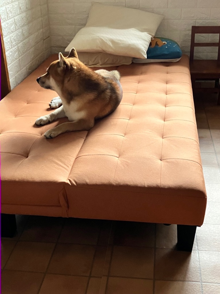 ソファーベッド ソファベッド レザーファブリック リクライニング ロー