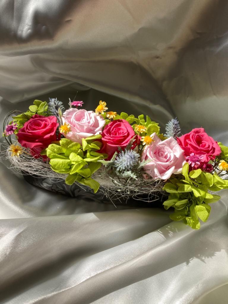 スターフラワーブロッサム✢ウッディベージュ スターフラワー・ブロッサム入荷のお知らせ | 株式会社大地農園