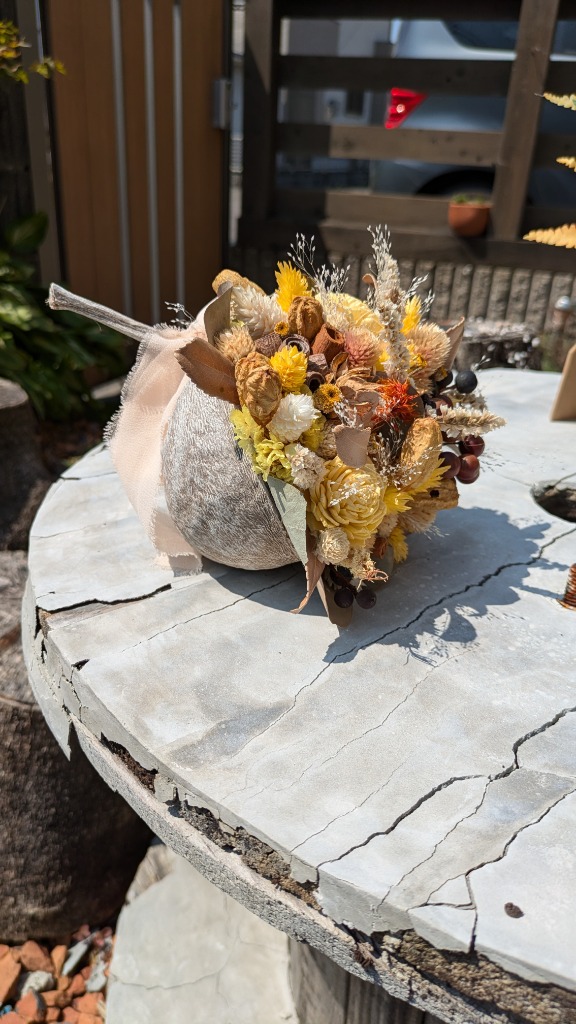 ブッダナッツ 割引有 16個セット L ウォッシュホワイト 大地農園 ブッダナッツ 割引有 16個セット L ウォッシュホワイト 大地農園