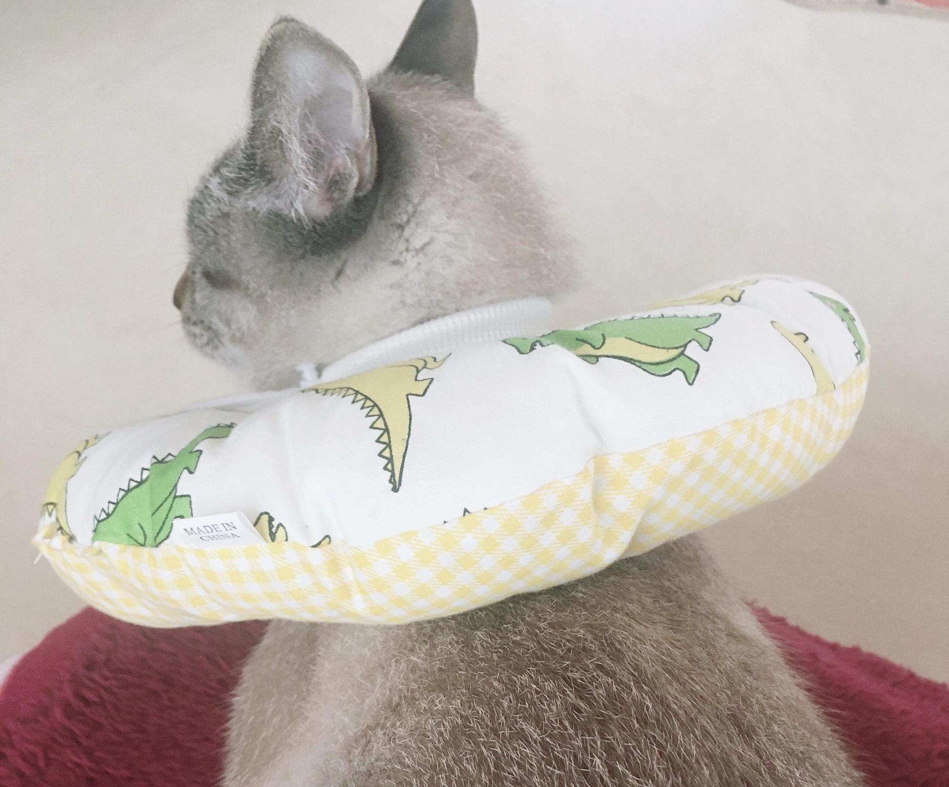 レビュー画像