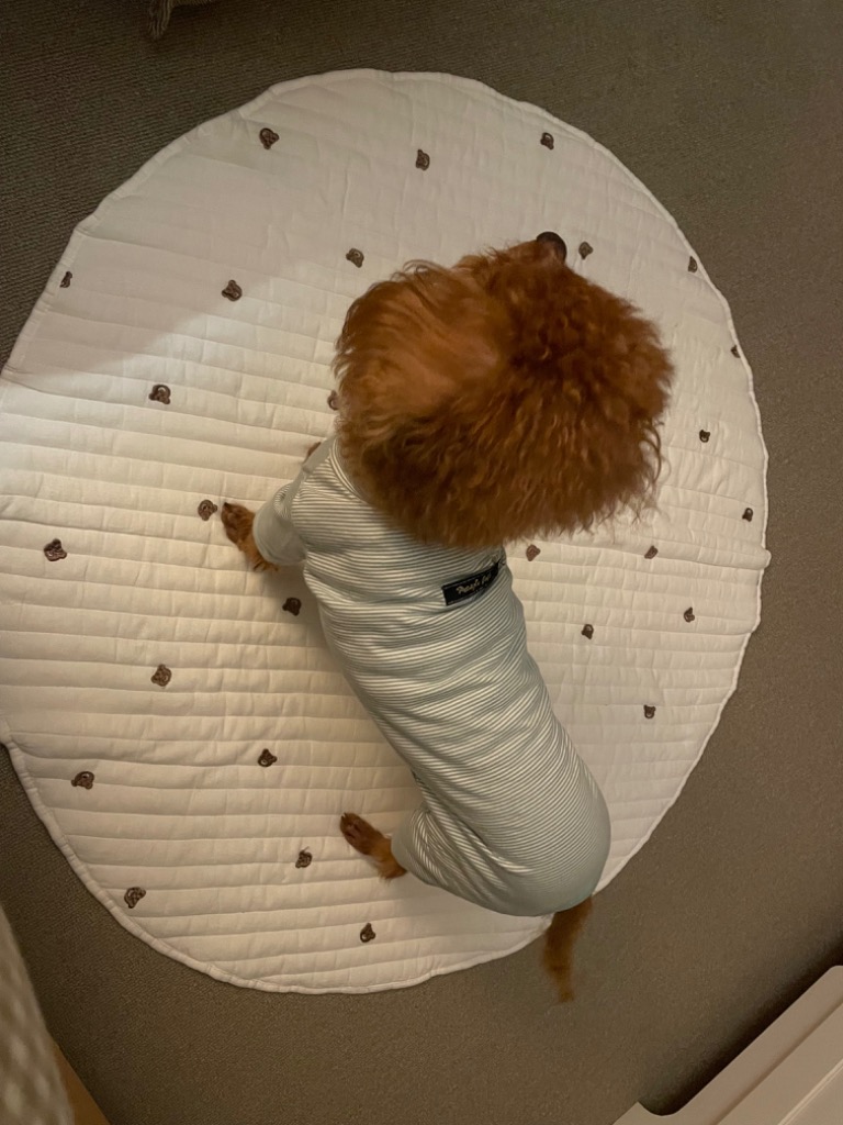 全体のレビュー画像 | 0-0