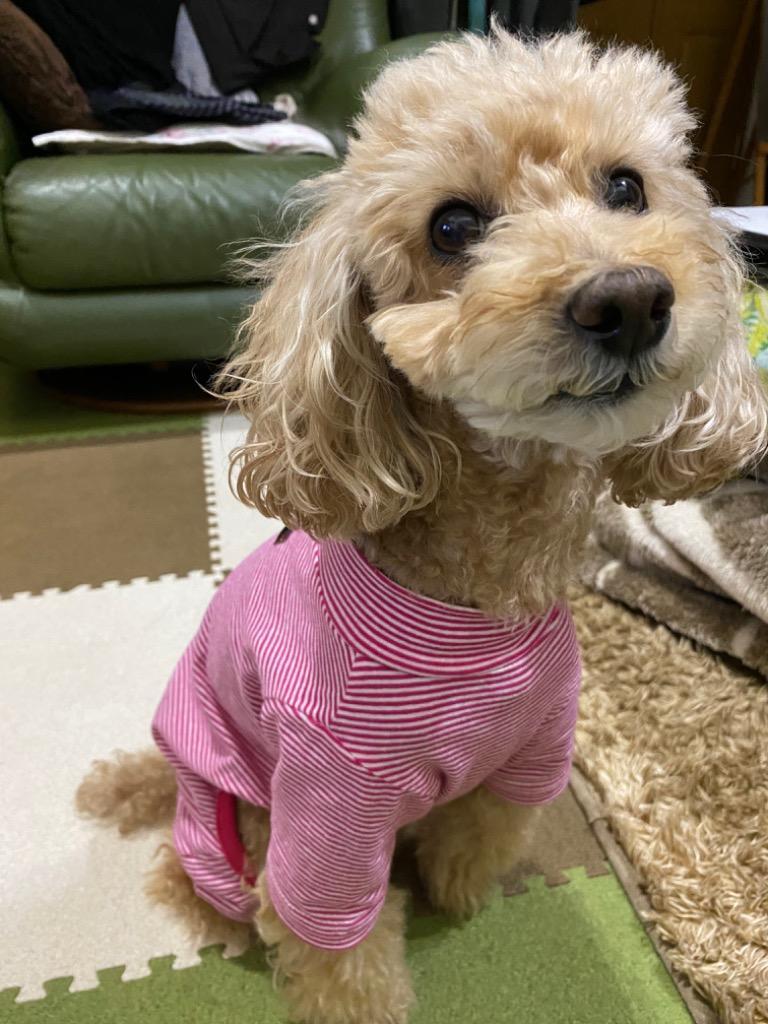 全体のレビュー画像 | 15-0