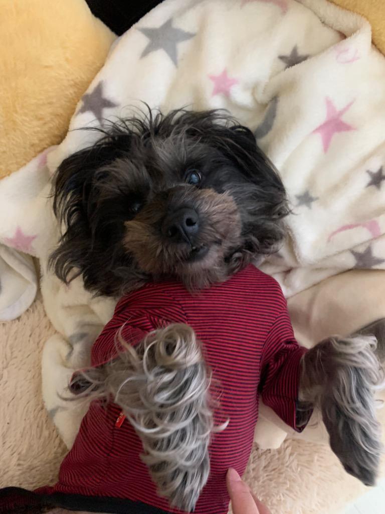 全体のレビュー画像 | 2-0