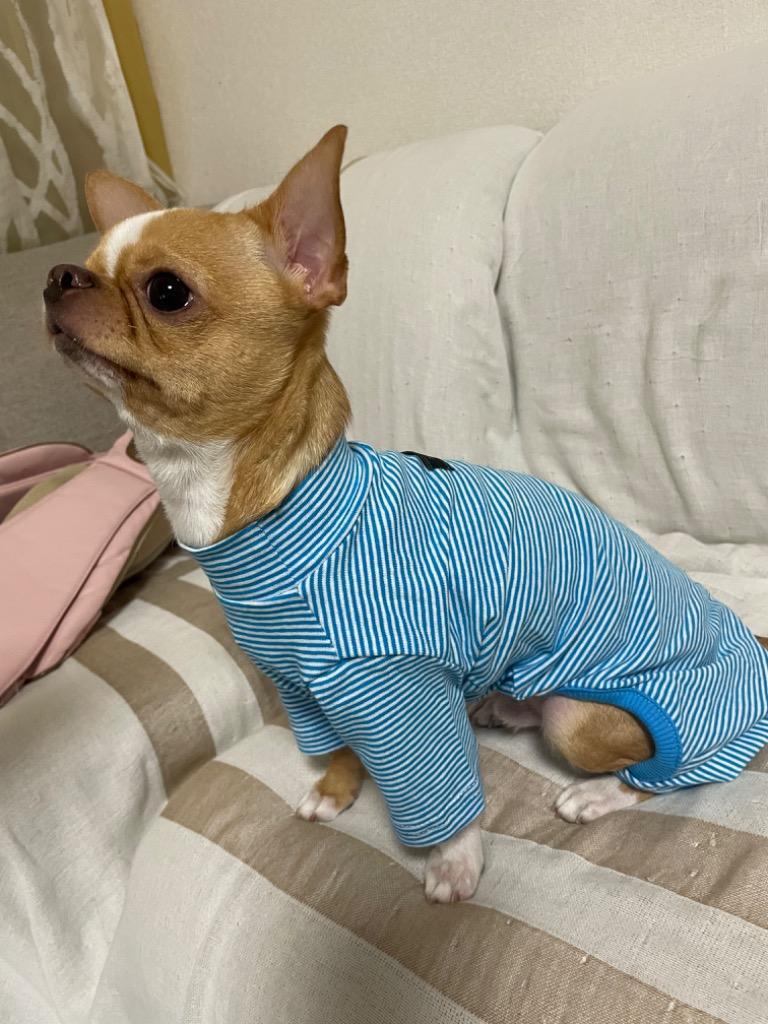 全体のレビュー画像 | 11-0