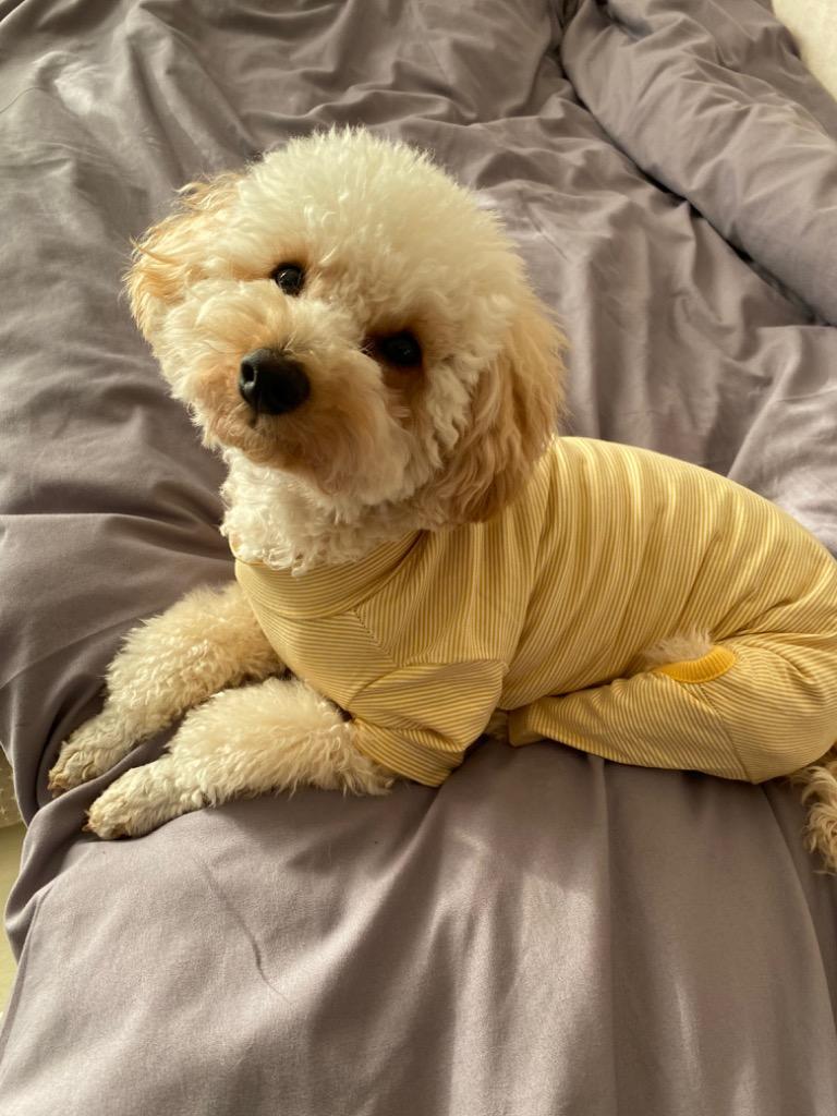 全体のレビュー画像 | 13-0