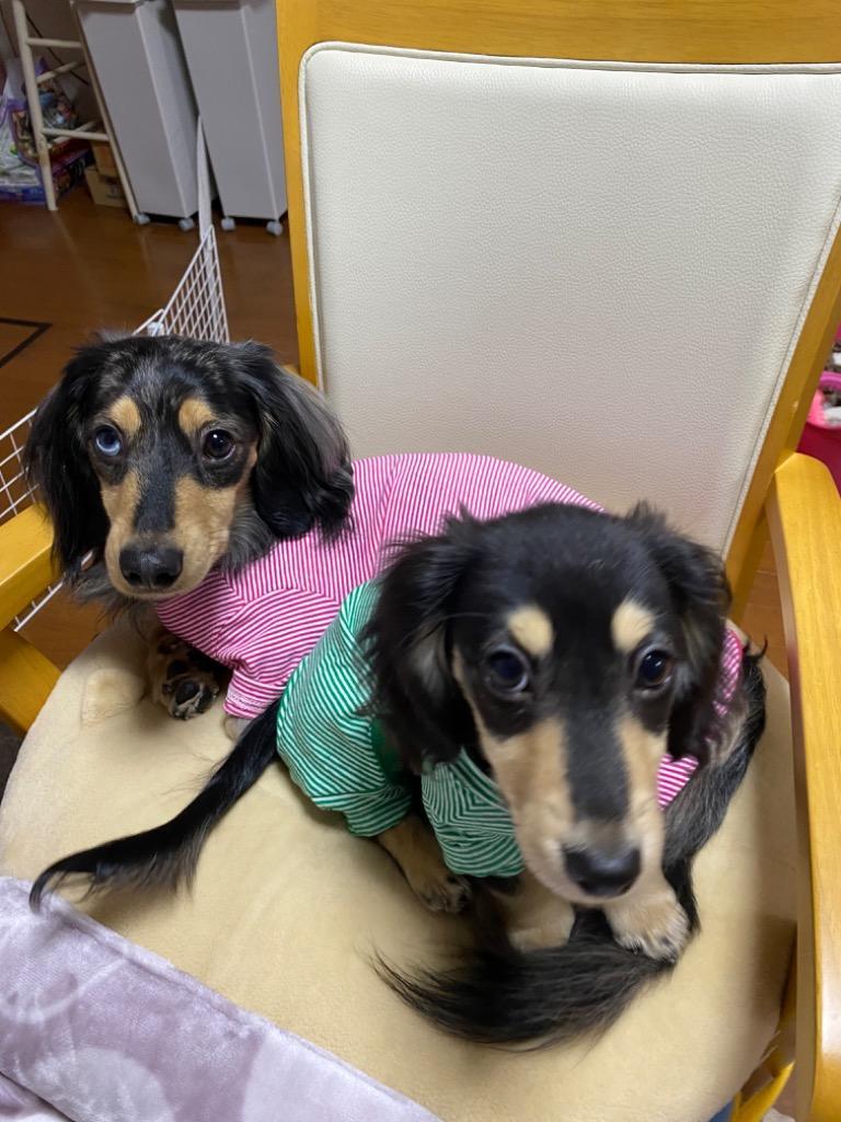 全体のレビュー画像 | 7-0