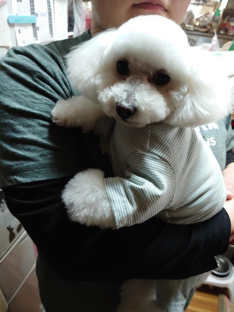 全体のレビュー画像 | 4-0