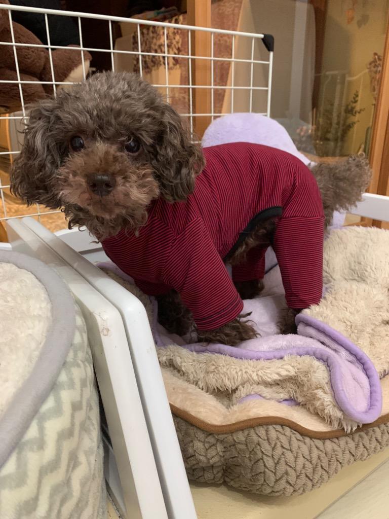 全体のレビュー画像 | 3-0