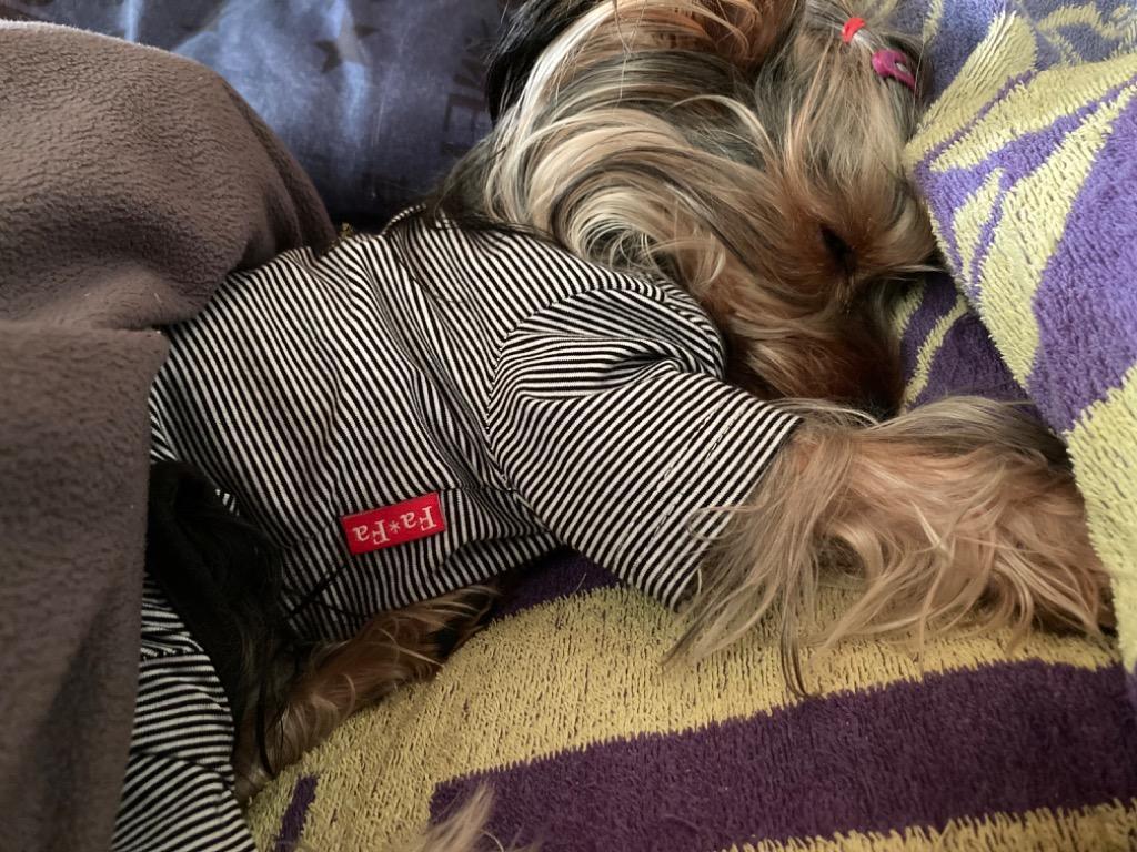 全体のレビュー画像 | 8-1