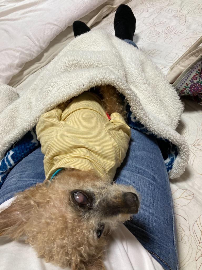 全体のレビュー画像 | 6-0