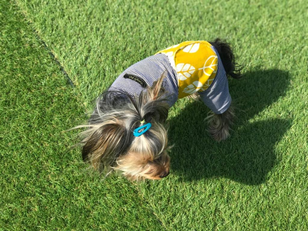 全体のレビュー画像 | 8-0