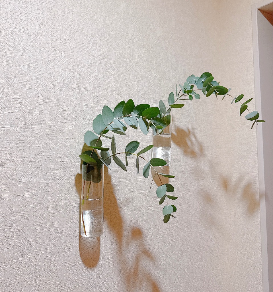 壁掛け花瓶 花瓶 ガラス 吊り下げ 壁掛け 植木鉢 円形 花形 三角形